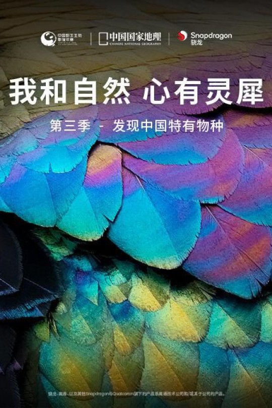 [115云盘]《我和自然 心有灵犀》第三季 - 发现中国特有物种[2022][完结剧集][4K高码][国语][简英双语硬字幕][3.95GB]