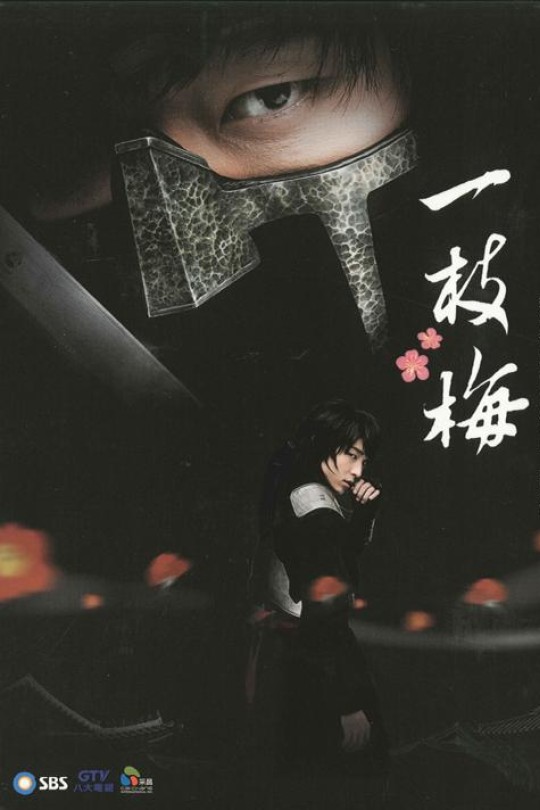 [115云盘]一枝梅[2008][完结剧集][1080P][国/韩语][繁体硬字幕][46.64GB]