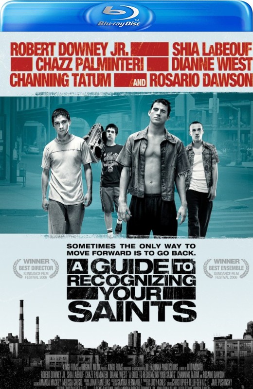 圣徒指南[2006][法版原盘][英语][中文字幕][29.88GB]