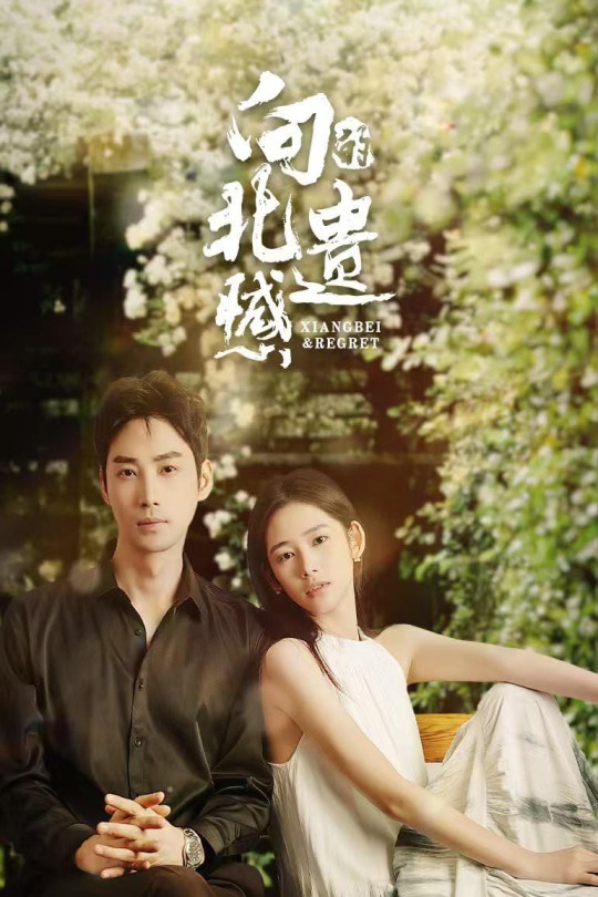 [115云盘]向北的遗憾[2024][完结剧集][4K][国语][中文字幕][5.51GB]