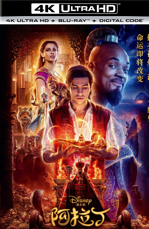 阿拉丁[2019][美版原盘][国/英语][中文字幕][58.08GB]