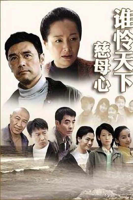 [115云盘]谁怜天下慈母心[2007][完结剧集][1080P][国语][中文字幕][13.12GB]