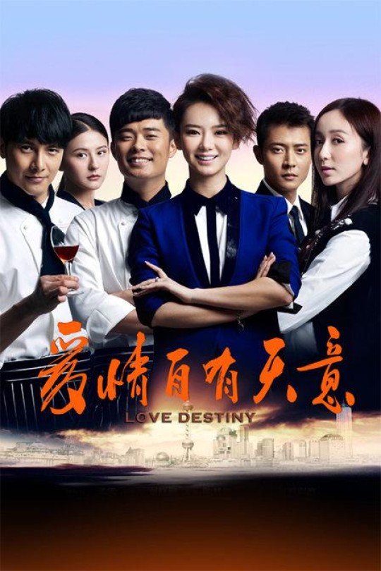 [115云盘]爱情自有天意[2013][完结剧集][1080P][国语][中文字幕][东方卫视][96.12GB]