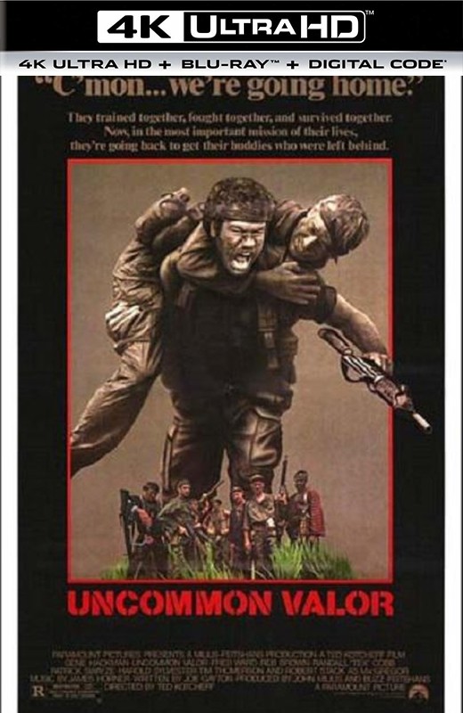 长驱直入[1983][美版原盘][杜比视界][英语][中文字幕][80.88GB]