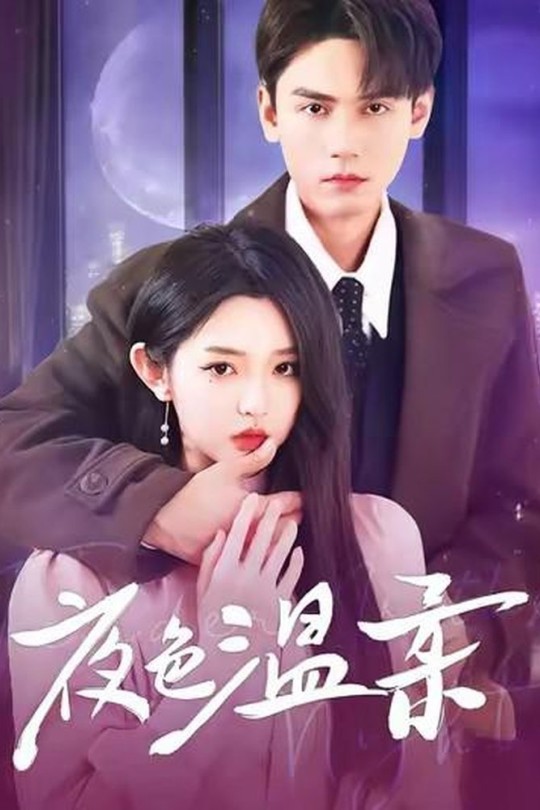 [115云盘]夜色温柔[2025][完结剧集][1080P][国语][中文字幕][17.12GB]