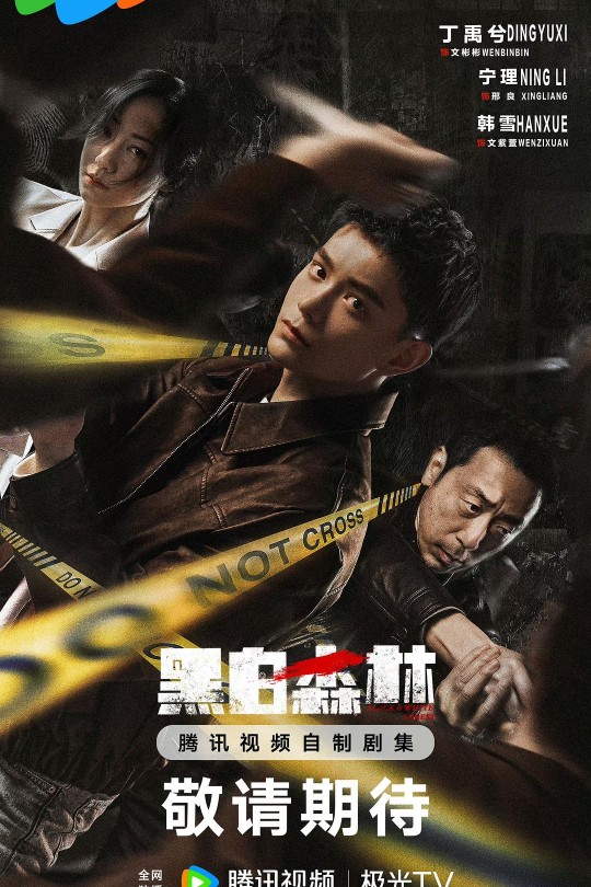 [115云盘]黑白森林[2024][完结剧集][4K][国语][中文字幕][28.87GB]