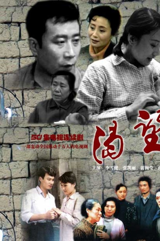 [115云盘]渴望[1990][完结剧集][1080P][国语][中文字幕][293.26GB]