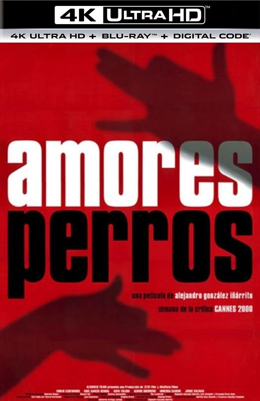 爱情是狗娘[2000][法版原盘][杜比视界][西班牙语][中文字幕][81.44GB]