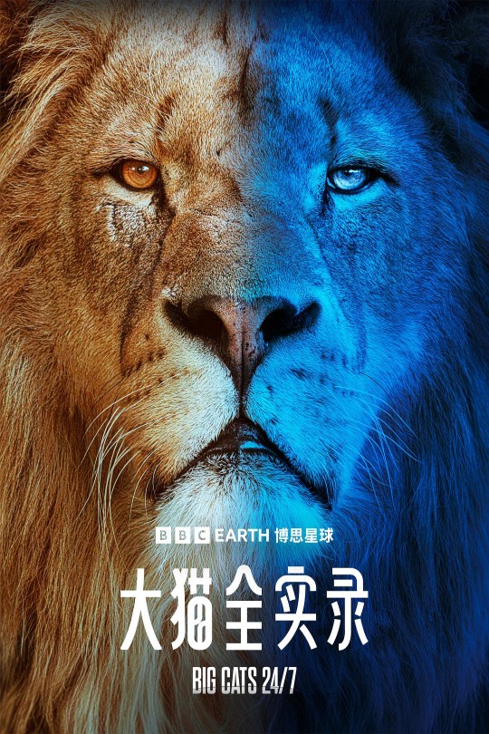 [115云盘]大猫全实录[2024][完结剧集][4KEDR高码][英语][内嵌简英双语字幕][37.93GB]