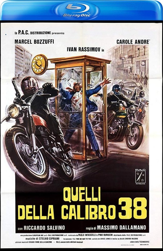 暴力点38[1976][法版原盘][意大利语][中文字幕][37.01GB]