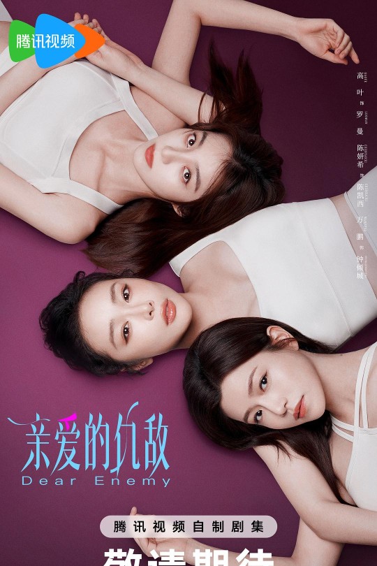 [115云盘]亲爱的仇敌[2025][完结剧集][4KHDR高码60帧][国语][简繁英软字幕][119.69GB]