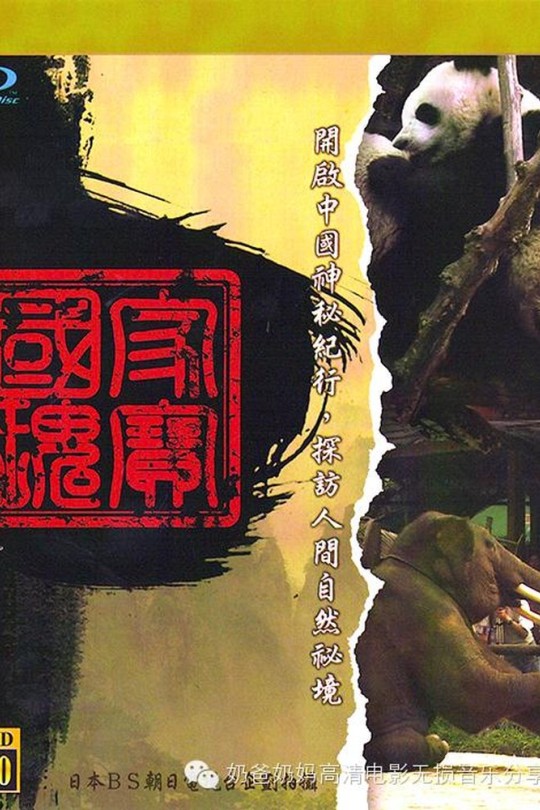 中国神秘纪行[2010][日版原盘][国语][中文字幕][254.97GB]