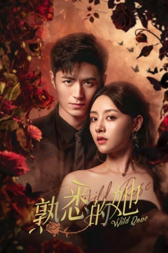[115云盘]熟悉的她[2025][完结剧集][4K][国语][中文字幕][5.16GB]