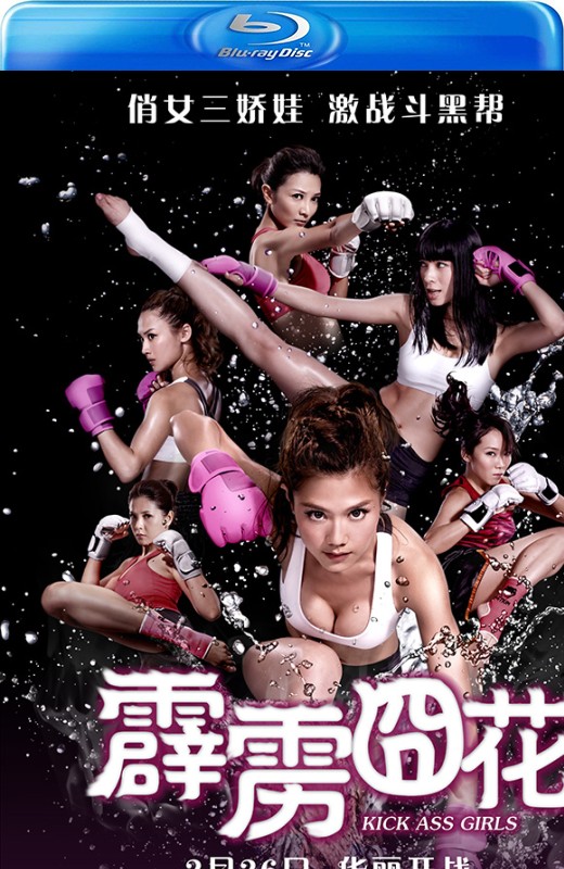 霹雳囧花[2013][港版原盘][国/粤语][中文字幕][23.28GB]