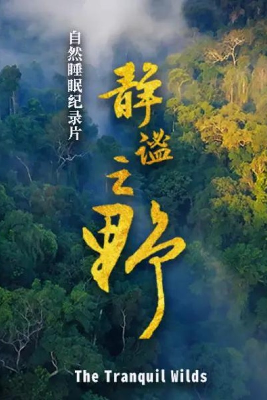 [115云盘]静谧之野[2025][完结剧集][4K高码][国语][中文字幕][5.87GB]