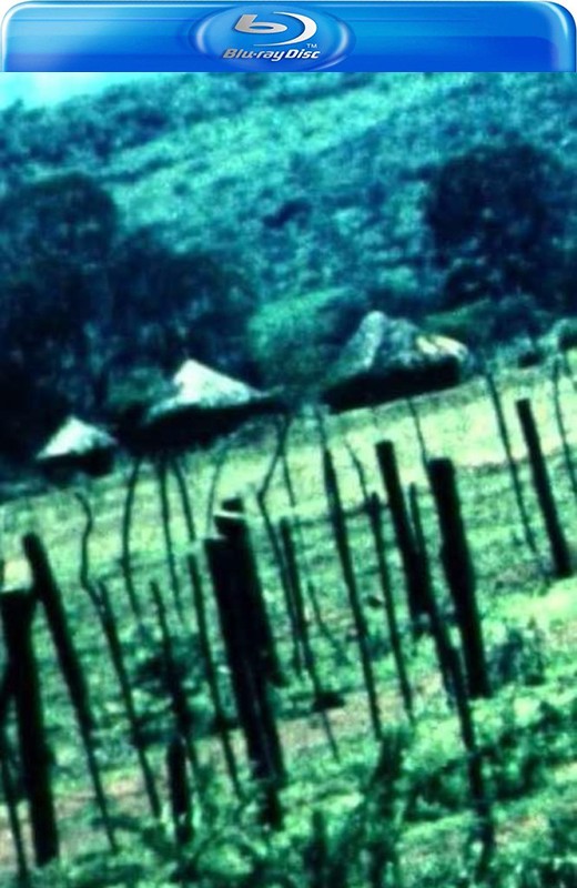 贝多芬交响乐全集.2014-2015.菲利浦·约丹指挥[2015][美版原盘][德语][无中文字幕][80.22GB]