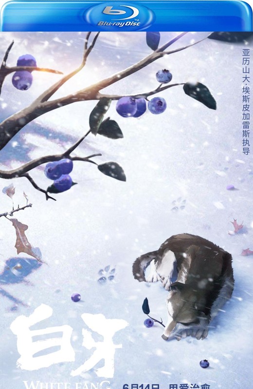 白牙[2018][法版原盘][国/法语][中文字幕][35.96GB]