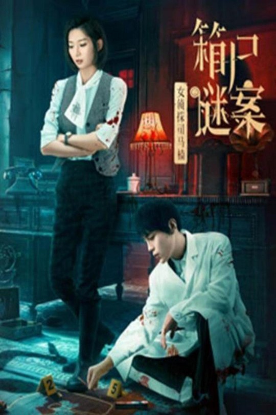 女侦探司马楠之箱尸谜案[2024]花潼   冯荔军[4K高码][国语][中文字幕][7.16GB]