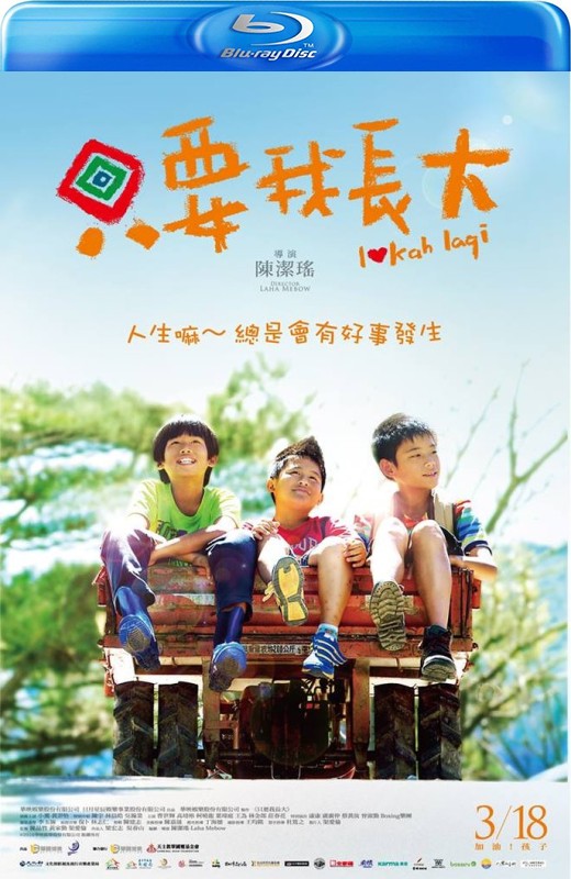 只要我长大[2016][英版原盘][国语][无中文字幕][18.65GB]