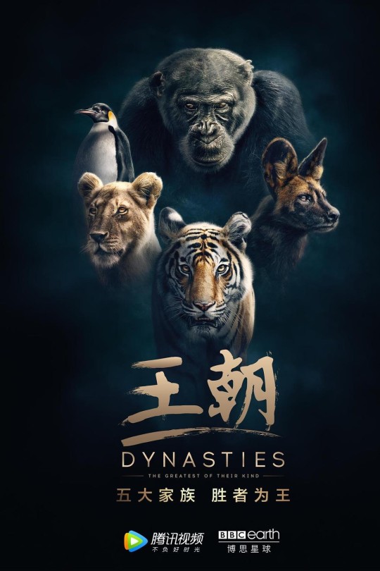 王朝 第一季[2018][美版原盘][国语][中文字幕][93.08GB]