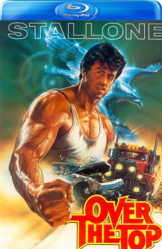 飞越巅峰[1987][台版原盘][英语][中文字幕][20.89GB]
