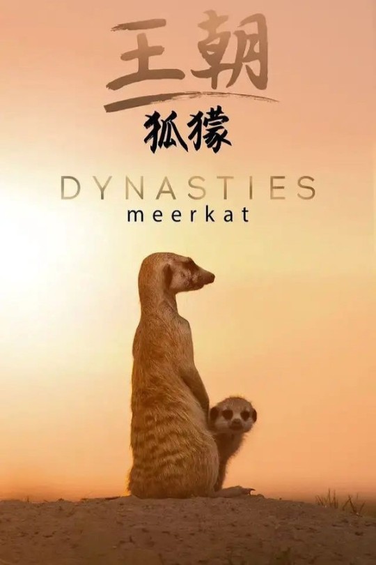 王朝：狐獴特辑[2020]刘琮 大卫·爱登堡[4K WEB][国英双语][中英文字幕][7.78GB+5.73GB]