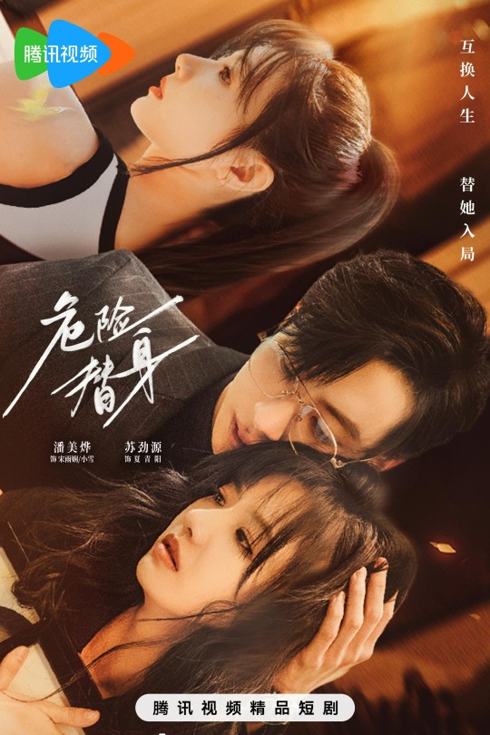 [115云盘]危险替身[2025][完结剧集][4K][国语][中文字幕][2.60GB]