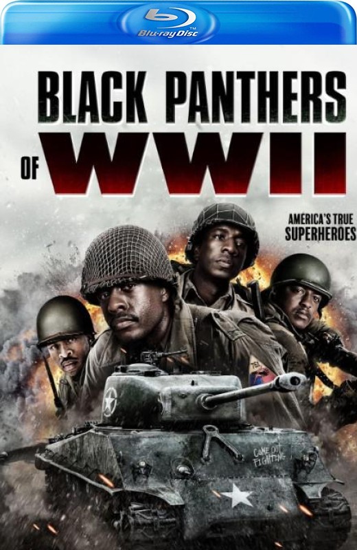 二战黑豹[2025][德版原盘][英语][中文字幕][20.53GB]