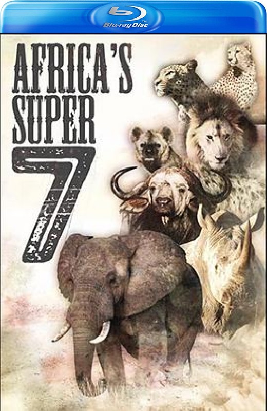 探索频道： 非洲超级七兽[][港版原盘][国/英语][中文字幕][14.64GB]