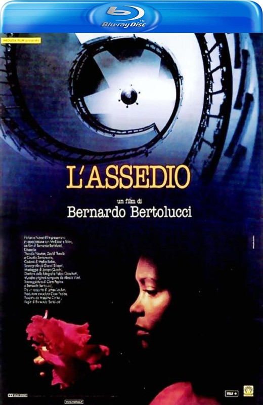 爱的困惑[1998][日版原盘][英语][中文字幕][22.22GB]