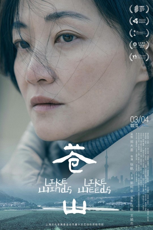 苍山[2023]郭柯宇 曲丰国[4K EDR高码][国语][中文字幕][9.91GB]