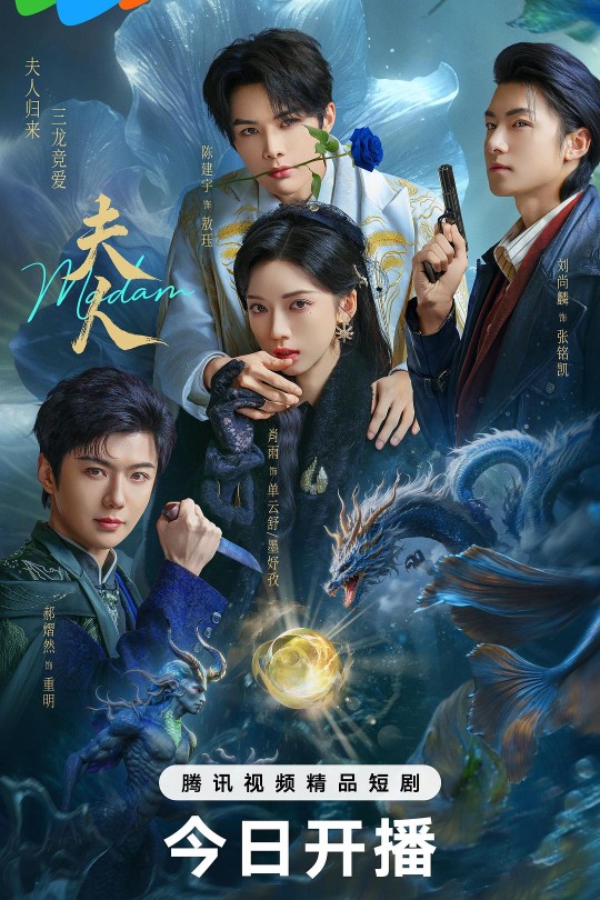 [115云盘]夫人[2025][完结剧集][4K][国语][中文字幕][5.95GB]