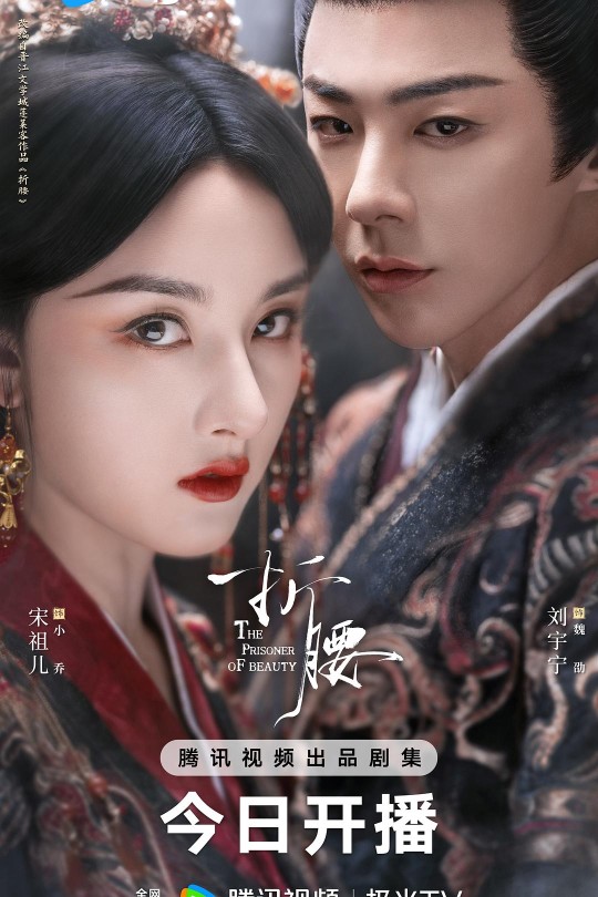 [115云盘]折腰[2025][更新至09集][4K][国语][中文字幕][本帖持续更新]