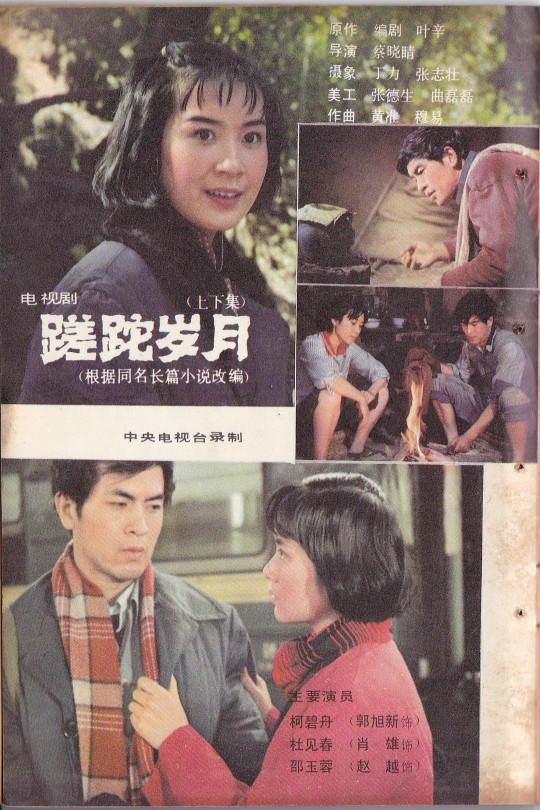 [115云盘]蹉跎岁月[1982][完结剧集][1080P][国语][中文字幕][重温经典][19.76GB]