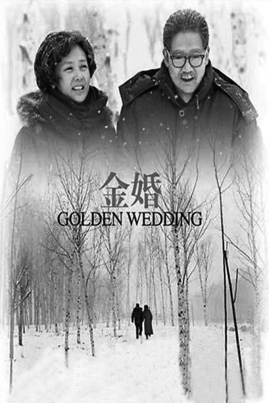 [115云盘]金婚[2007][完结剧集][1080P][国语][中文字幕][天津卫视][124.44GB]