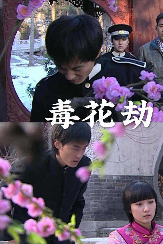 毒花劫[2009]张爱芊 战立国[1080P][国语][中文字幕][0.73GB]