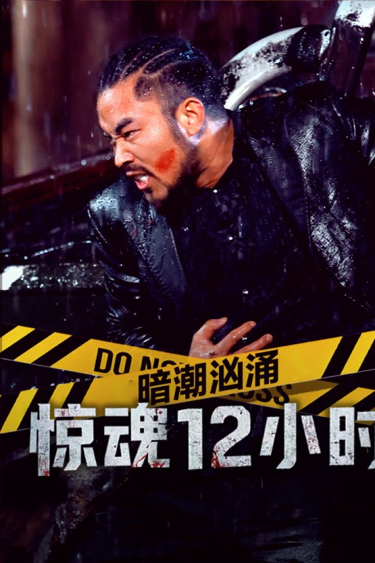 暗潮汹涌之惊魂12小时[2025]居来提[4K EDR高码][国语][中文字幕][7.49GB]