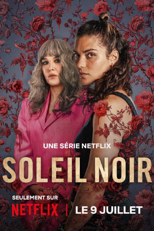 [115云盘]暗阳之下[2025][完结剧集][4KDV][法/英语][简繁英软字幕][40.05GB]