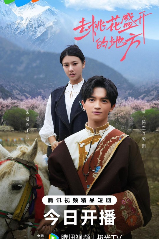 [115云盘]去桃花盛开的地方[2025][完结剧集][4K 60帧][国语][中文字幕][5.28GB]