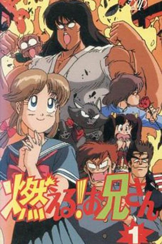[115云盘]森林好小子[1988][完结剧集][1080P][国/日语][中文字幕][29.33GB]