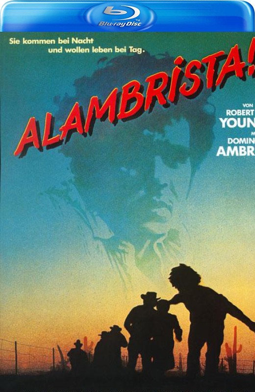 阿兰布里斯塔[1977][英版原盘][西班牙语][中文字幕][39.43GB]