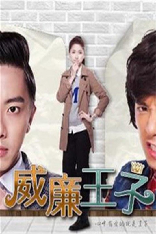 [115云盘]威廉王子[2014][完结剧集][1080P][国语][中文字幕][台视TTV][54.19GB]