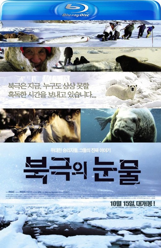 北极的眼泪[2009][韩版原盘][韩语][中文字幕][35.70GB]