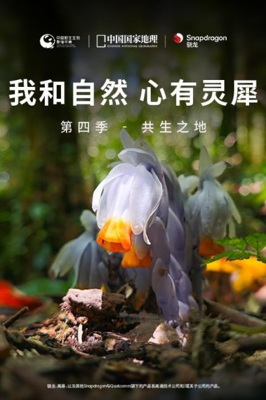 [115云盘]《我和自然 心有灵犀》第四季 - 共生之地[2023][完结剧集][4K高码][国语][简英双语硬字幕][3.11GB]