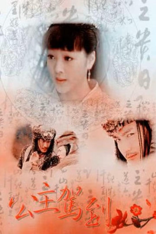公主驾到[2011]何杜娟 宋洋[4K][国语][中文字幕][3.84GB]