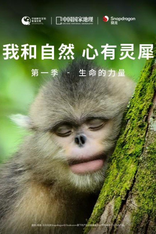 [115云盘]《我和自然 心有灵犀》第一季 - 生命的力量[2020][完结剧集][4K高码][国语][简英双语硬字幕][2.21GB]