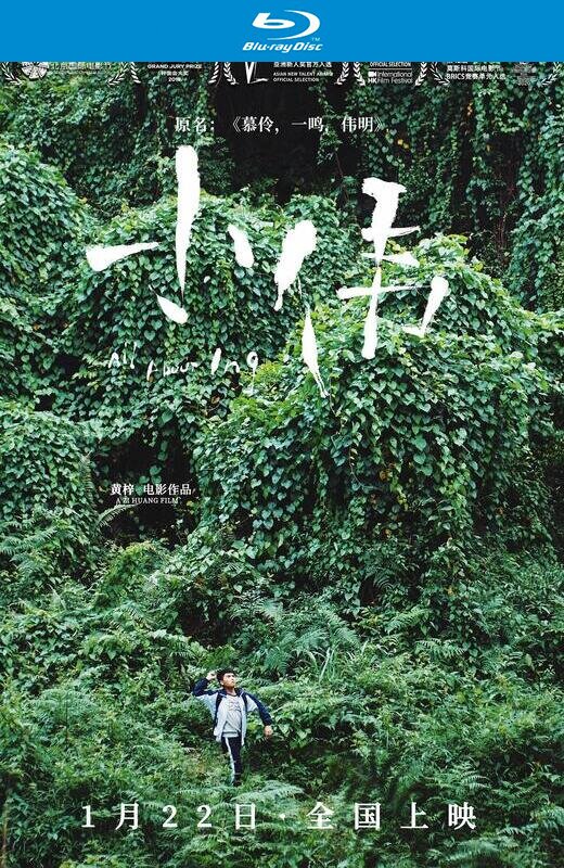 小伟[2019][国版原盘][国/粤语][中文字幕][43.00GB]