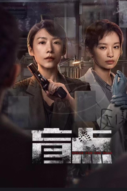 [115云盘]盲点[2025][完结剧集][4KHDR60帧][国语][中文字幕][30.85GB]