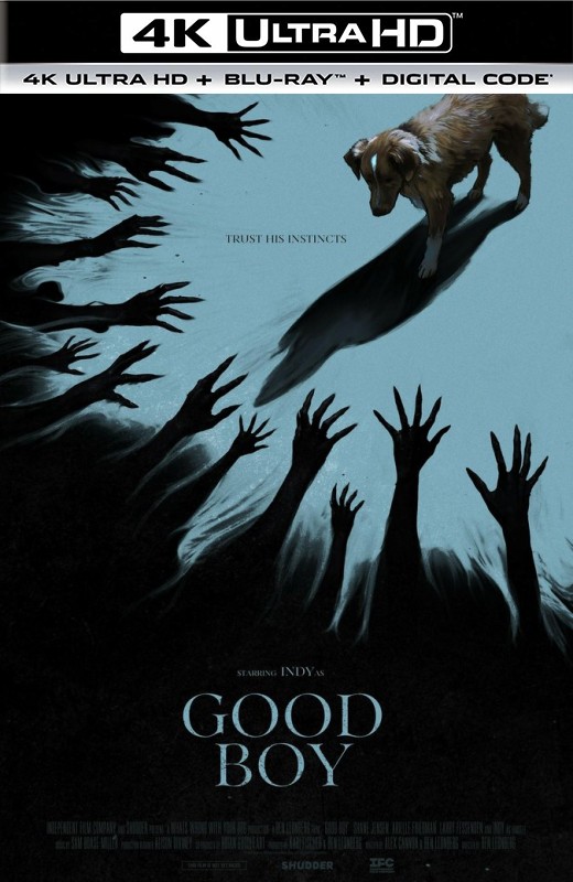 好狗狗[2025][美版原盘][杜比视界][英语][中文字幕][52.08GB]