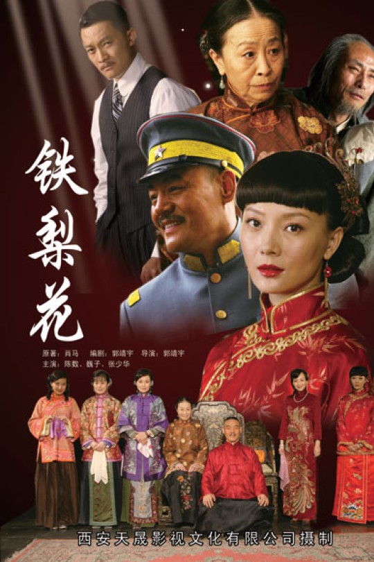 [115云盘]铁梨花[2010][完结剧集][1080P][国语][中文字幕][广东卫视][210.45GB]